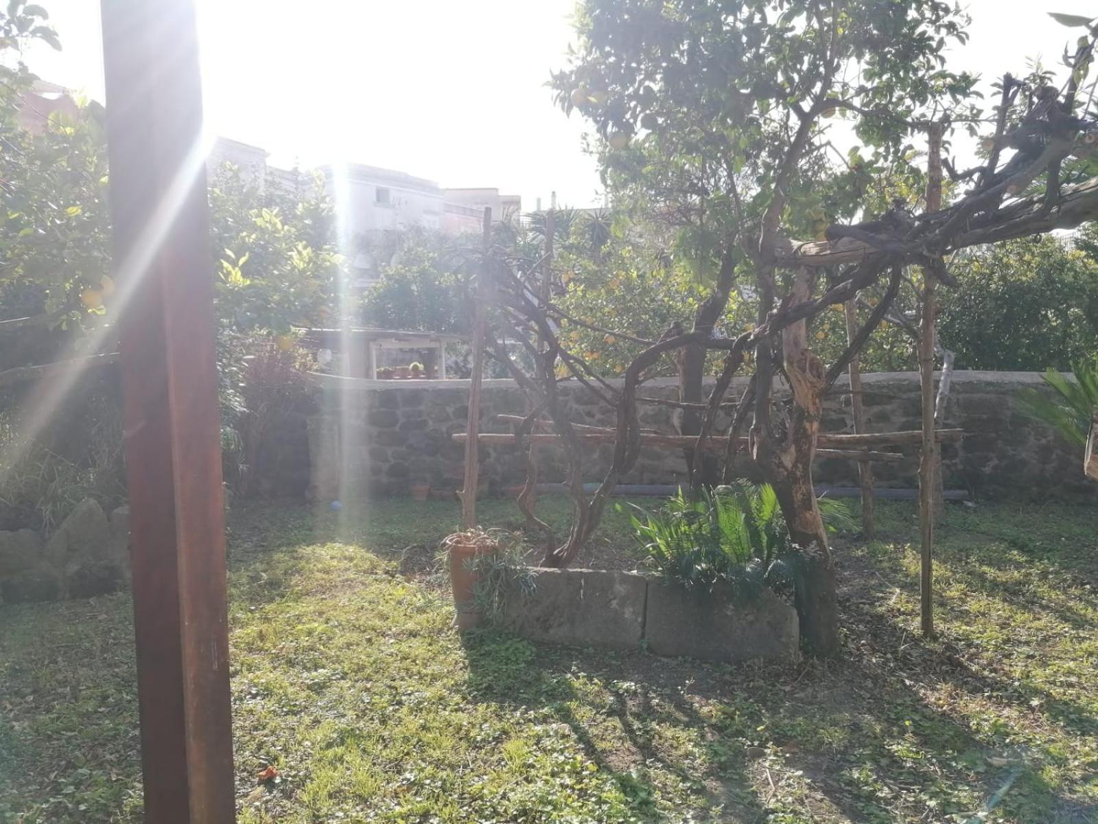Dimora Coloniale B&B Форио Экстерьер фото