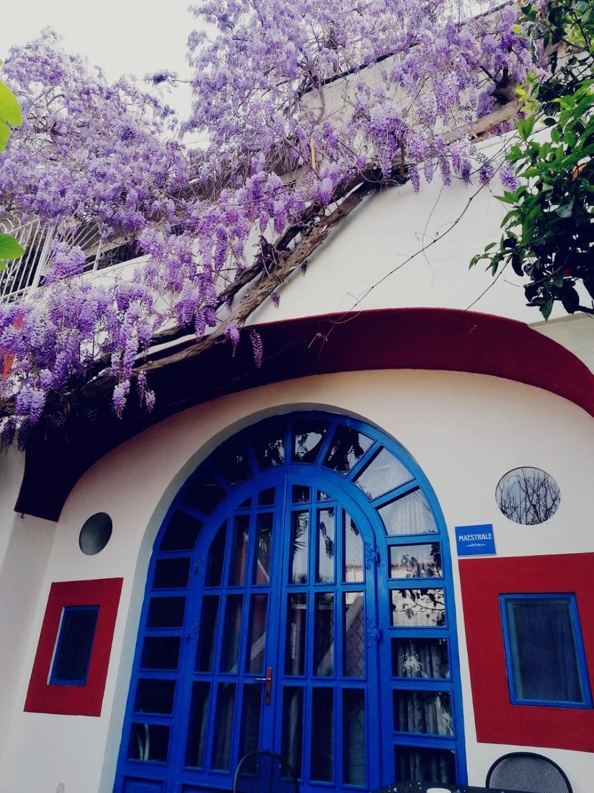 Dimora Coloniale B&B Форио Экстерьер фото